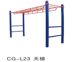 百色市健身器材天梯CG-L23